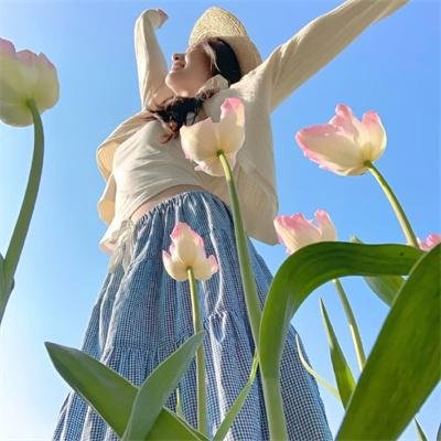 探险手札之未知领域